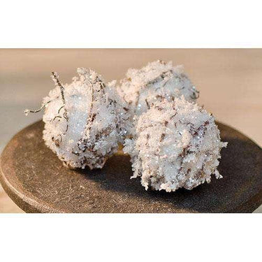 12/Set, Snowballs - The Fox Decor